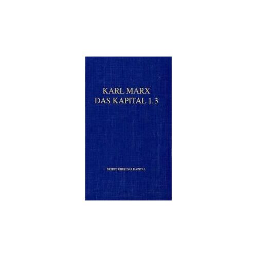 Das Kapital 1.3
