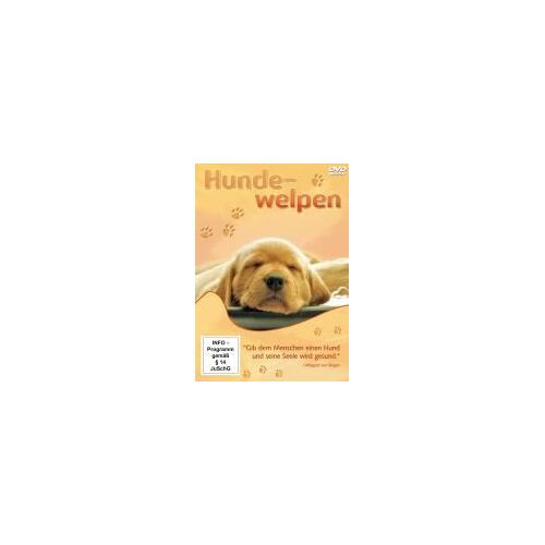Hundewelpen