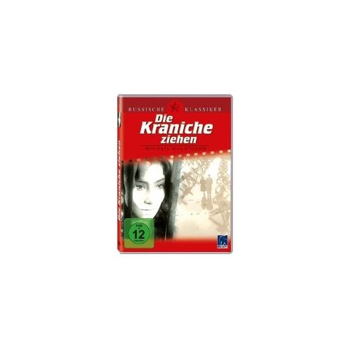 Die Kraniche Ziehen