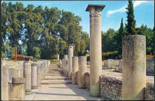 Carte Postal Vaison-La-Romaine " La Rue Des Boutiques Et Colonnade "