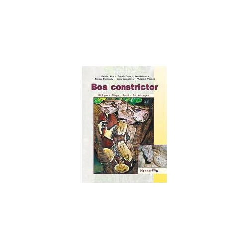 Boa Constrictor