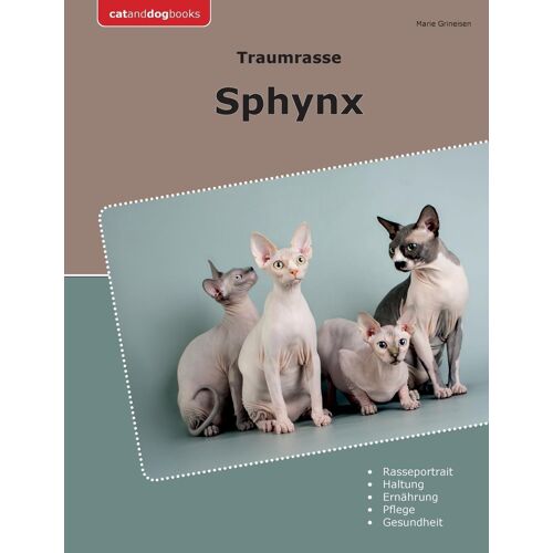 Traumrasse Sphynx