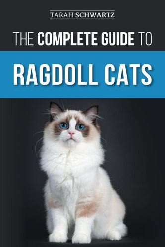 The Complete Guide To Ragdoll Cats