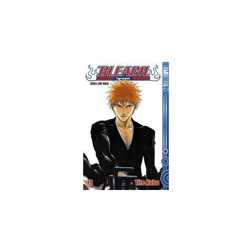 Bleach 19
