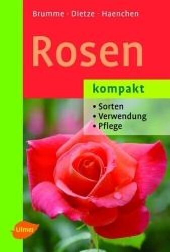 Rosen Kompakt