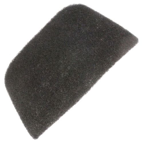 Filtre charbon - Friteuse (5312511171 DELONGHI)