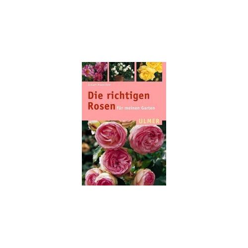 Die Richtigen Rosen Für Meinen Garten