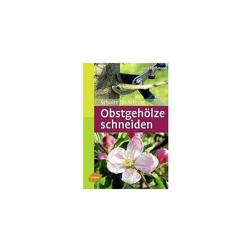 Obstgehölze Schneiden