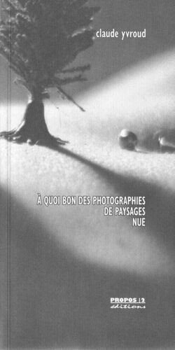 À Quoi Bon Des Photographies De Paysages Nue