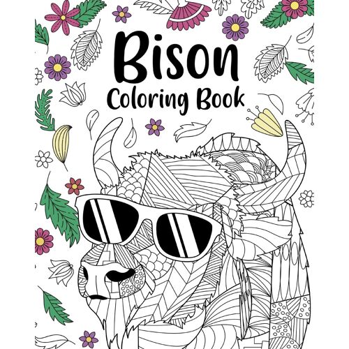 Bison Coloring Book