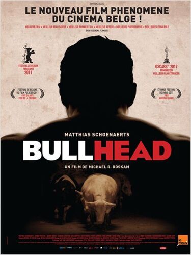 Bullhead - Véritable Affiche De Cinéma Pliée -Format 40x60 Cm -De Michael R. Roskam Avec Matthias Schoenaerts, Jeroen Perceval, Jeanne Dandoy, Barbara Sarafian, Sam Louwyck, Erico Salamone - 2011