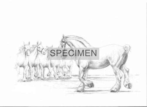 Boulogne-Sur-Mer Et Sa Région