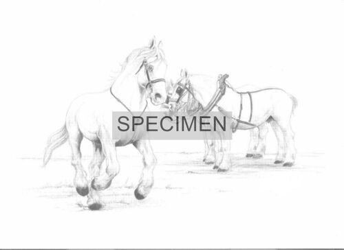 Boulogne-Sur-Mer Et Sa Région