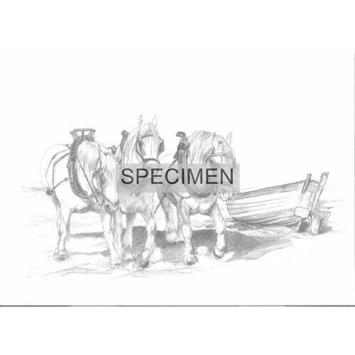 Boulogne-Sur-Mer Et Sa Région