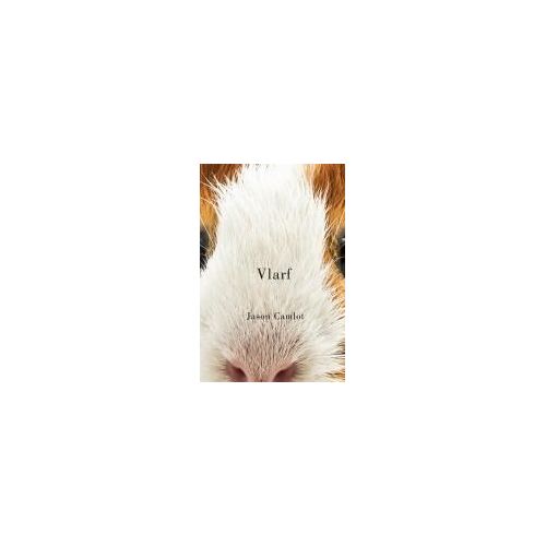 Vlarf: Volume 66