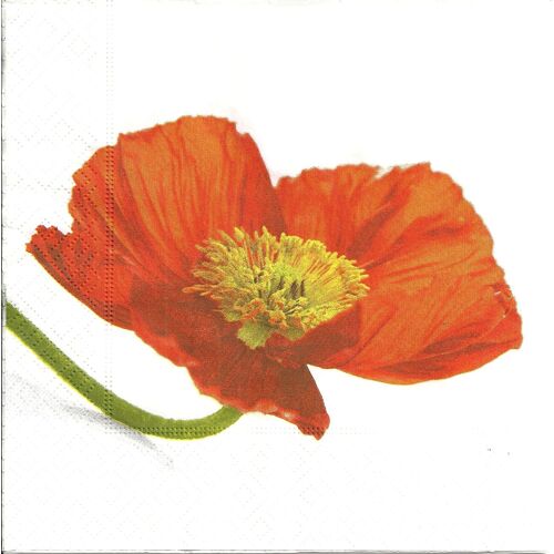 Lot De 2 Serviettes Déco Papier: Coquelicot