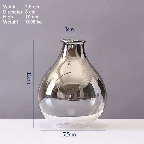 Vase en verre style nordique, dégradé d'argent, fleurs séchées, décoration de maison, Pots de plantes, ameublement, cadeau de noël