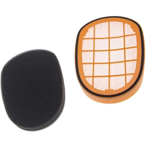 vhbw 1x filtre pré-moteur, 1x filtre protection moteur compatible avec Philips SpeedPro Max Aqua Plus XC8347/01, XC8349 aspirateurs (avec pré-filtre)