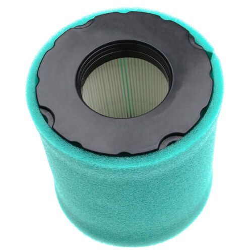vhbw Set de filtres (1x filtre à air en papier, 1x filtre mousse) compatible avec Briggs & Stratton 49M977-0111-G5 moteur pour tracteur tondeuse
