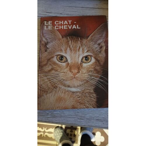 Les Grandes Énigmes Du Monde Animal