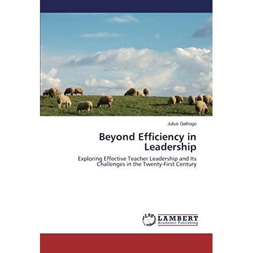 Beyond Efficiency In Leadership