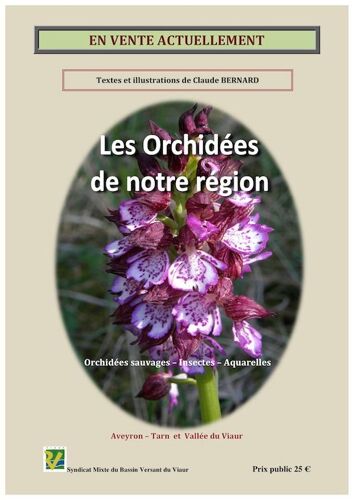 Les Orchidées De Notre Région