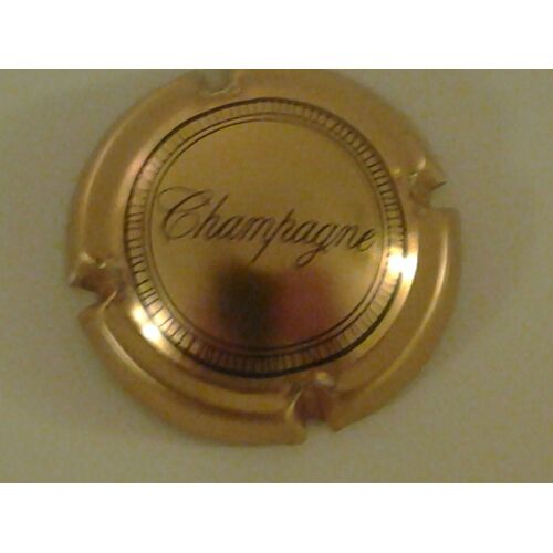 Capsule De Champagne Generique
