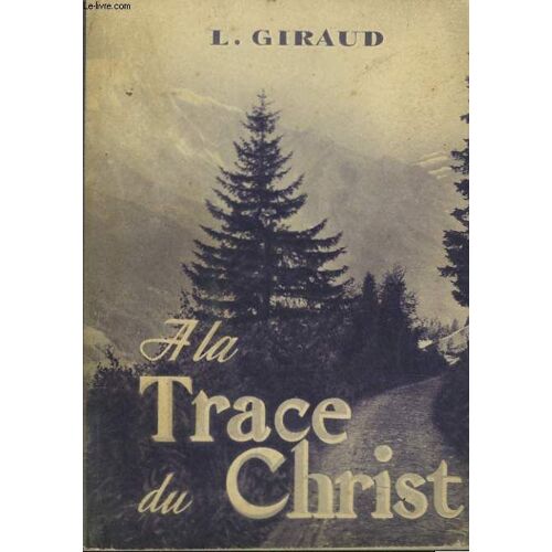 A La Trace Du Christ A Travers L'evangile / Plan Et Notes De Travail Pour Un Camp De Formation.