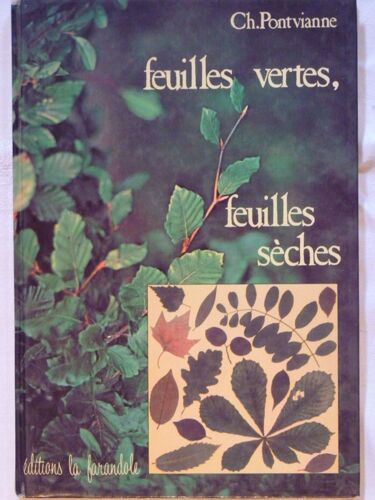 Feuilles Vertes Feuilles Sèches