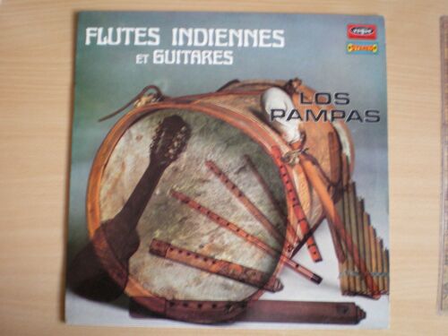 Flutes Indiennes Et Guitares