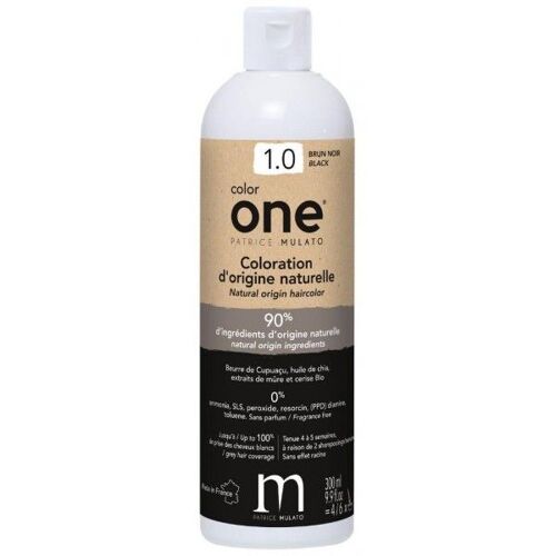 Coloration Color One 1.0 Brun Noir Patrice Mulato 300ml 
