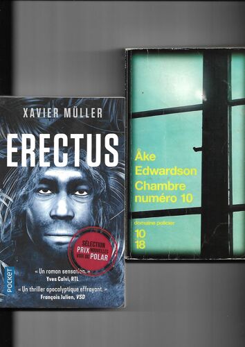 Polars. 3ldp. Innocent De Coben, Erectus De Muller, Chambre N°10 De Edwardson