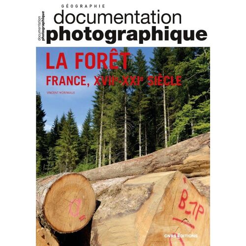 La Foret (France, Xvii-Xxie Siecle) Dp N 8150