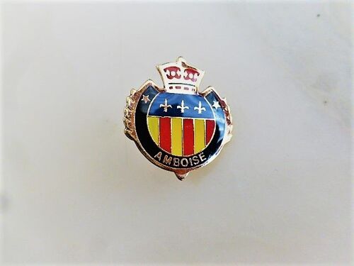 Pins Ville Amboise Cp 37520 Indre Et Loire Blason Couronne