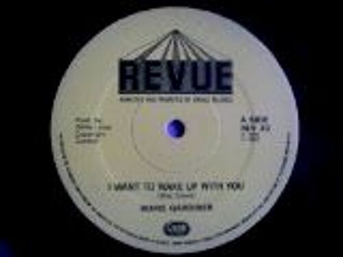 I Want To Wake Up With You