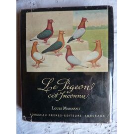 Le Pigeon, Cet Inconnu