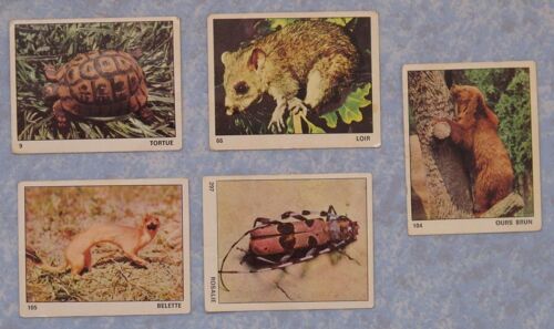 Images Tous Les Animaux - Editions De La Tour