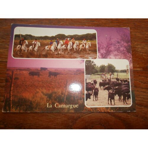 La Camargue . Gardians-Chevaux-Taureaux