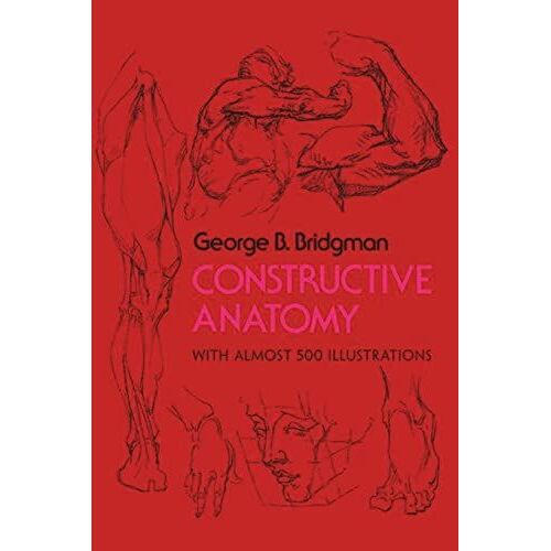 Constructive Anatomy