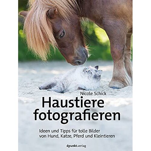 Haustiere Fotografieren