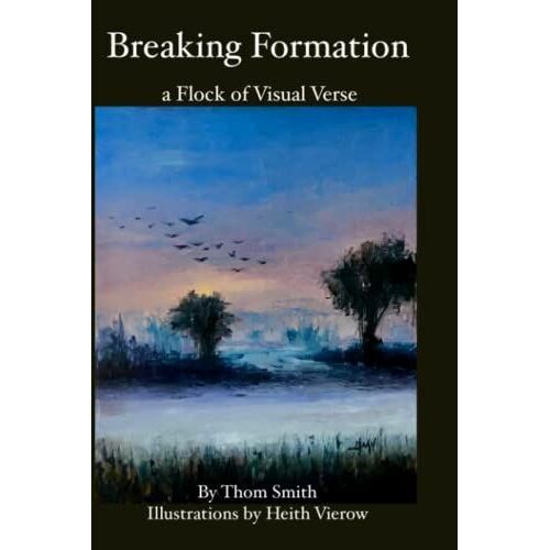 Breaking Formation : A Flock Of Visual Verse