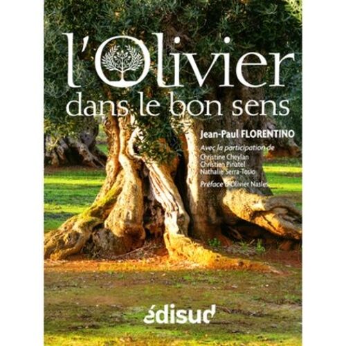 L'olivier Dans Le Bon Sens