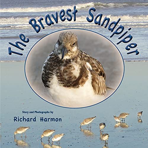 The Bravest Sandpiper