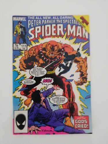 Peter Parker, The Spectacular Spider-Man N°111