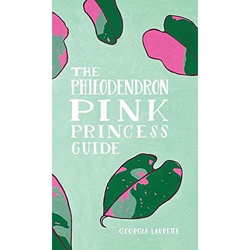 The Philodendron Pink Princess Guide