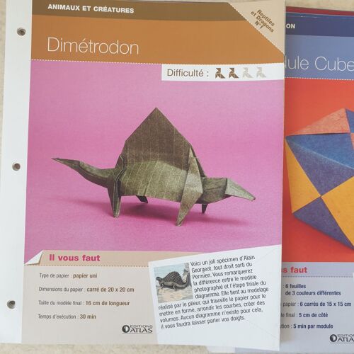 Origami 60 Fiches Éditions Atlas