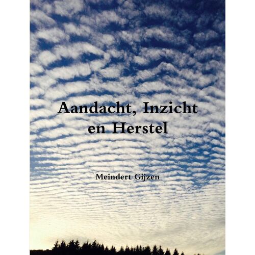 Aandacht, Inzicht En Herstel