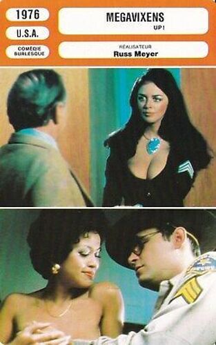 Fiche Monsieur Cinema Megavixens