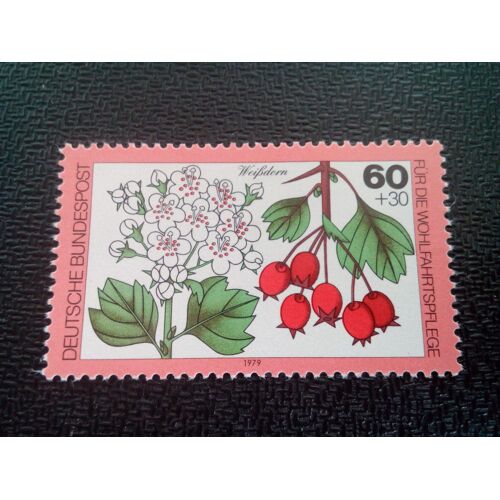 Timbre Allemagne / Rfa Yt 872 Aubépine 1979 ( 0031004 )