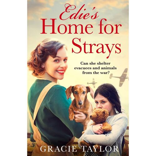 Edie's Home For Strays